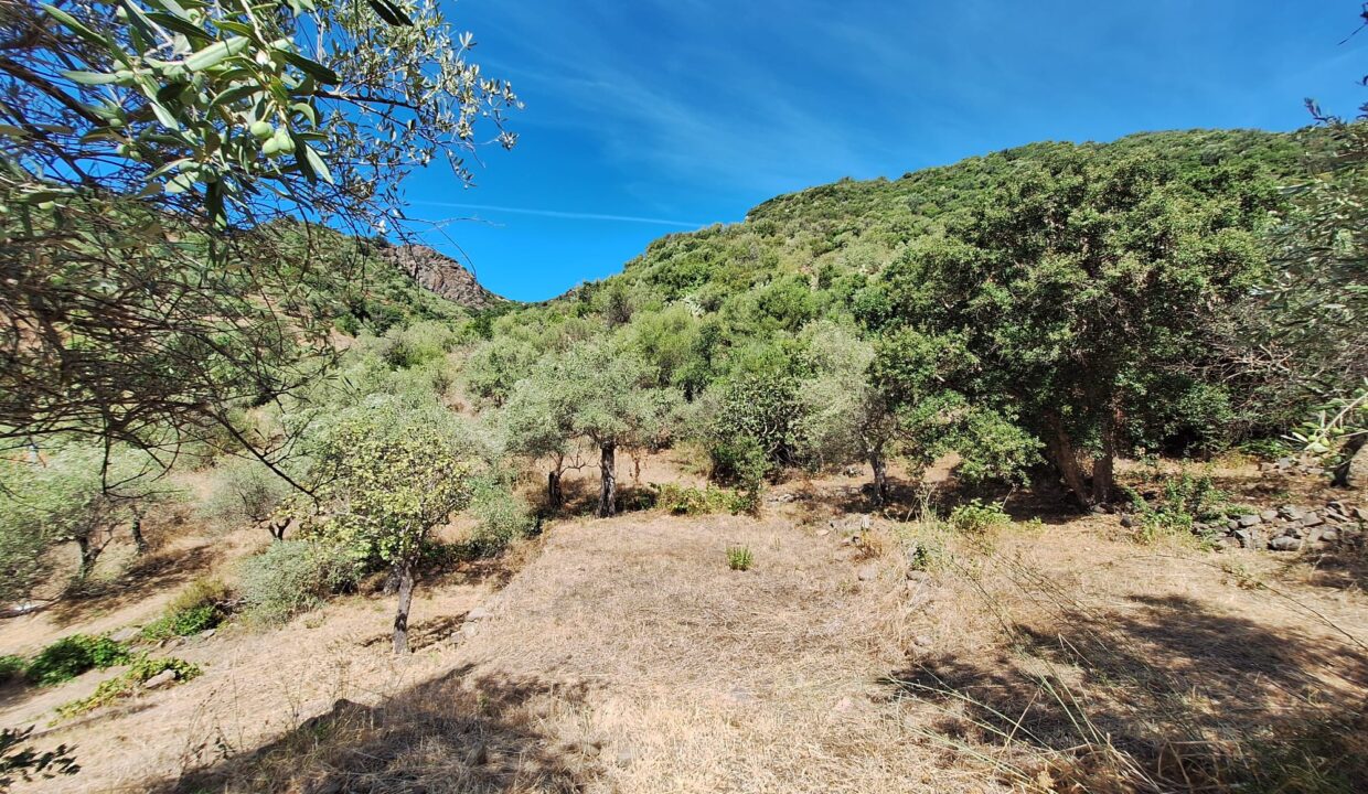 IL RIFUGIO TRA GLI ULIVI (24)