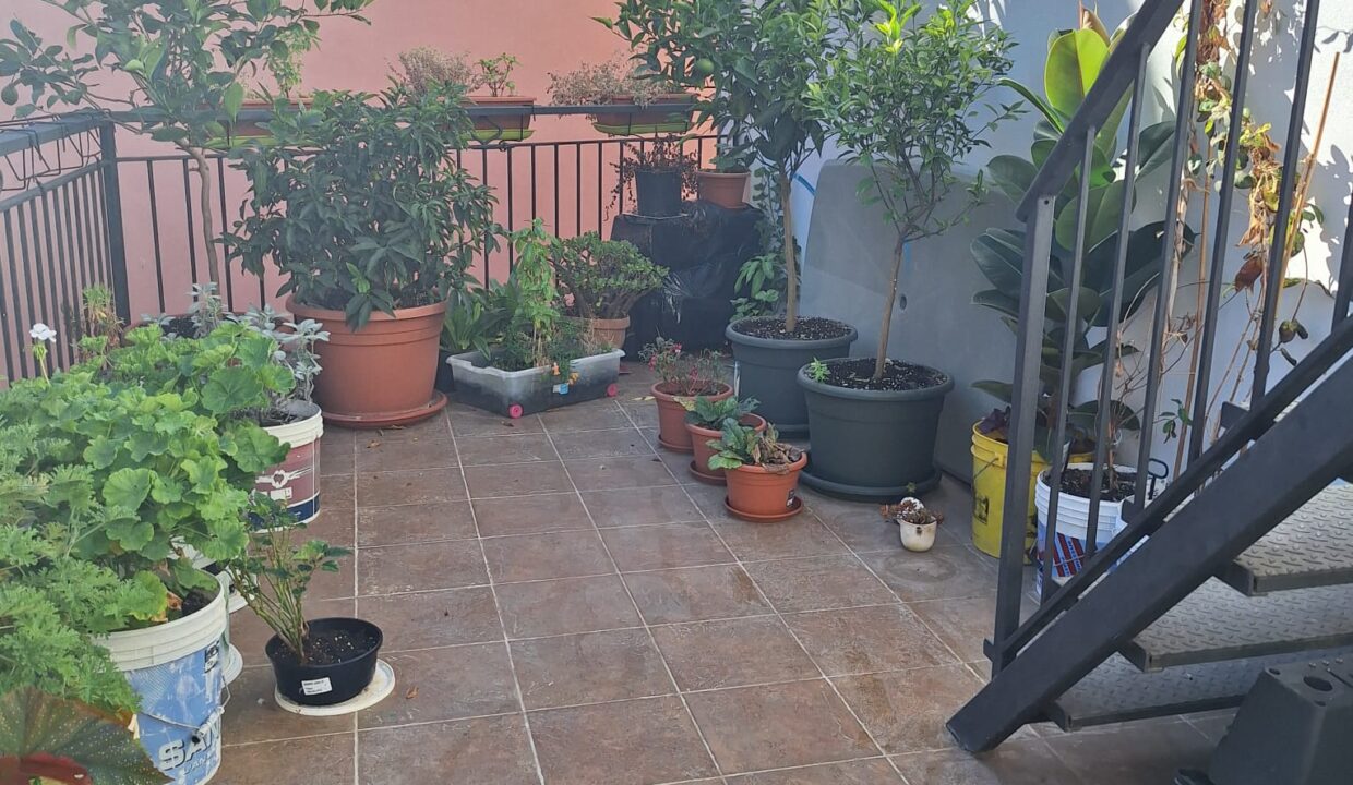 LA TERRAZZA DEL SEMINARIO (25)
